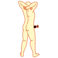 Masturbation Positions -Penis Edition