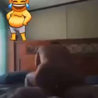 mrbios video Tweet