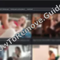 How to Remove Pornktube Porn Notifications From Your Browser
