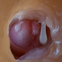 The guy found a way to find out what happens inside the anus during sex