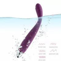 SVAKOM Vibratoren für sieVibrator 8 Sekunden zum OrgasmusSexspielzeu