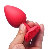 Chummy Love Anal Toys