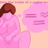 What does the inside of a vagina look like?