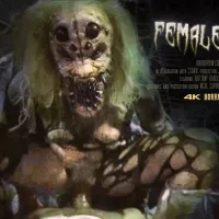 Horror Porn Female Spider: Blowjob Blowjob Porn