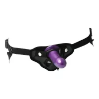 Sportsheets Anal Explorer Pegging Kit