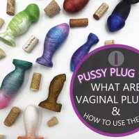 Pussy Plug 101: What Are Vaginal Plugs How Do You Use Them?