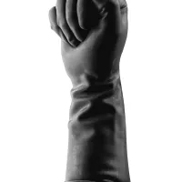 Anal Toys