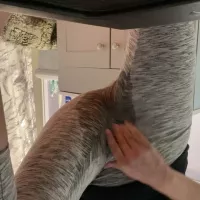 Major Squirting Squirting in Leggings just Having Fun and Enjoying My Fingers Cant Stop Squirting Over and Over