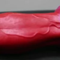 Nothosaur Best Fantasy Dog Knot Dildos Anal Knotted dildo