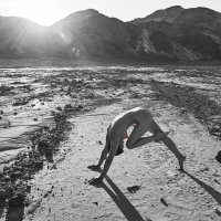 Nina burri