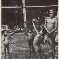 Nomads of the Long Bow
