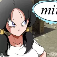 Videl mini