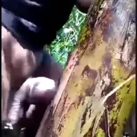 Watch Horny Guy Fucking a Banana Pseudo stem Video Here