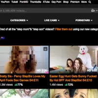 Hackers Broadcast PornHub Homepage in the Heart of Perth