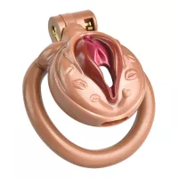 Erotic Pussy Lock