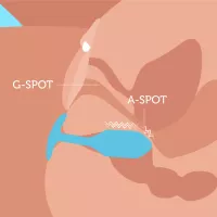 Anal Play for Women: A Beginners Guide to Female Anal Sex!