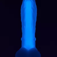 Glow in the Dark Dildo Kopen?