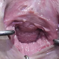 Wide Open: Close-up Close-up Porn by FapHouse