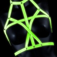 Bra Harness
