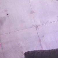 Free Download Sex Video