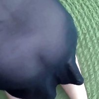 Free Free Mom Big Ass Porn Videos
