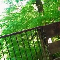 Brattty Bae and Siren Nudist Gives Gibby The Clown A Wild Tour In A Forrest