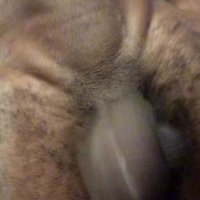 Masturbation by Mort: French BBC Hairy Black Solo Gay Porn