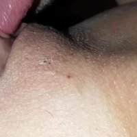 R D Rex lickssucks and bites that nice clit