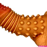 Realistic Dildo Dildo with Suction Cup 11X3.56 Skin : Amazon.ca: Health Personal Care