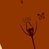 Lopsided Vagina: 9 Different Labia Shapes Colors and Sizes