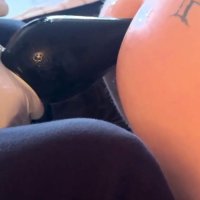 Jaz Pincita Anal Porn Videos: XXX 2026 2