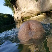 OnlyFans – Swiss-Girl / @swiss-girl - Page 14 image 166