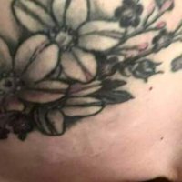 Others – thatcrzredhead1 - Page 26 image 311