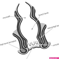 Advanced Guide to Having Anal Sex Step-by-Step Visuals