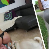 BANGBROS