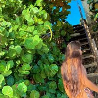 Instagram – Maria Layla Lopez / maria.llayla [Nudes] - Page 9 image 100