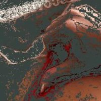 Others – Ciara F image 7