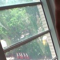 Latina Sex Tapes Vol. 16 2014