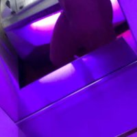 Others – Adalia H image 4