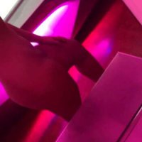 Others – Adalia H image 8