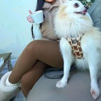 OnlyFans – Stormi / @stormi_xx – 32DD - Page 10 image 116
