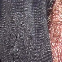 Free Pussy Slips Porn Videos