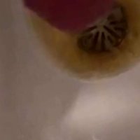 At work Risky Public Masturbation Cumshot into the urinal after taking a long piss startled midway
