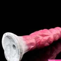 ACASTUS