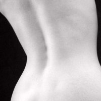 Untitled Nude torso back straight