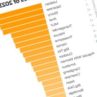Favourite categories and pornstars in 2023