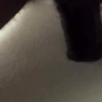 Fucking a hole in the wall