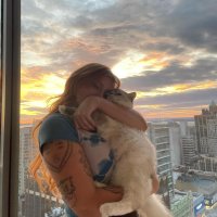 OnlyFans – miss shortcake / @misshortcake - Page 62 image 742