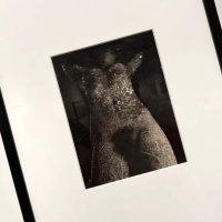 Diane ArbusArt Blart art and cultural memory archive
