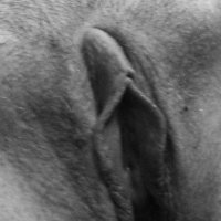 Pussy Black and White